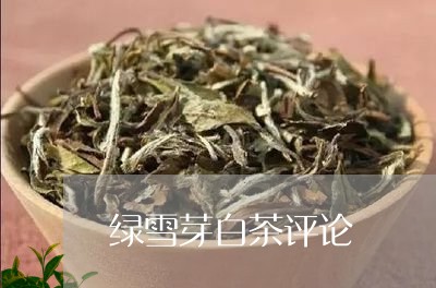 绿雪芽白茶评论/2023060813958