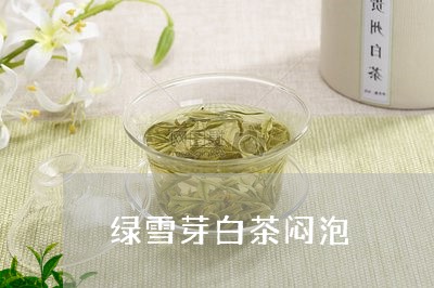 绿雪芽白茶闷泡/2023060864059