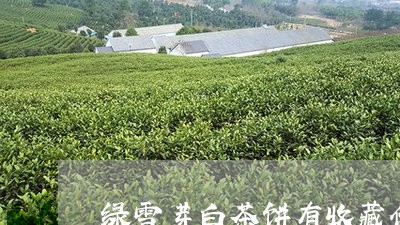 绿雪芽白茶饼有收藏价值吗/2023110982614