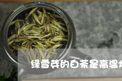 绿雪芽的白茶是高温烘干吗/2023110944036