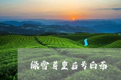 绿雪芽皇后号白茶/2023071227271