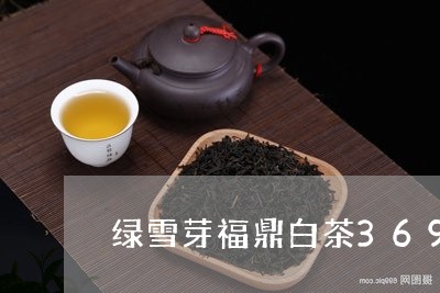 绿雪芽福鼎白茶369/2023120793857