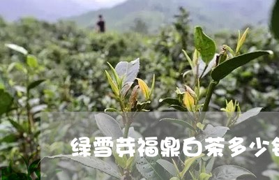 绿雪芽福鼎白茶多少钱/2023120733149