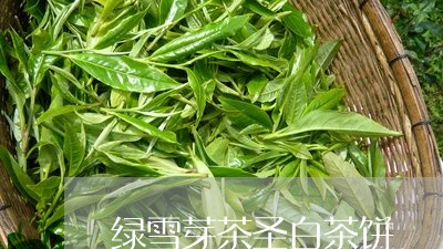 绿雪芽茶圣白茶饼/2023071236269