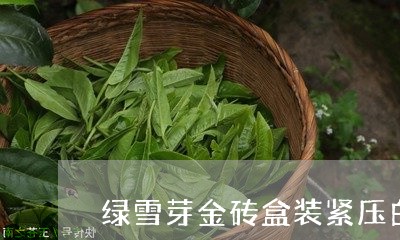 绿雪芽金砖盒装紧压白茶/2023110262503