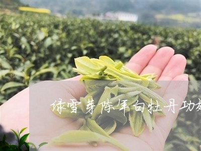 绿雪芽陈年白牡丹功效/2023091712505