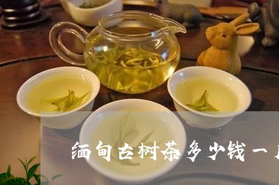 缅甸古树茶多少钱一斤/2023071691403