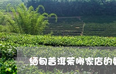 缅甸普洱茶哪家店的好/2023062301596