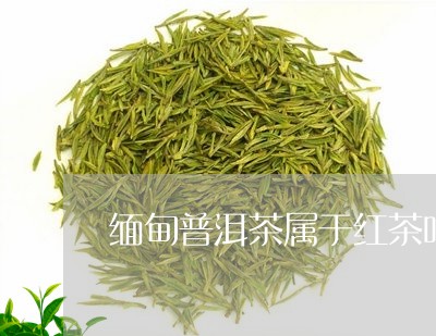 缅甸普洱茶属于红茶吗/2023063082715