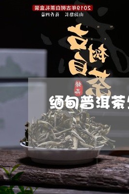 缅甸普洱茶生茶怎么样/2023062369592