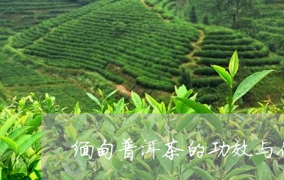 缅甸普洱茶的功效与作用/2023122058373