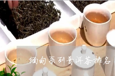 缅甸系列普洱茶排名/2023112752815