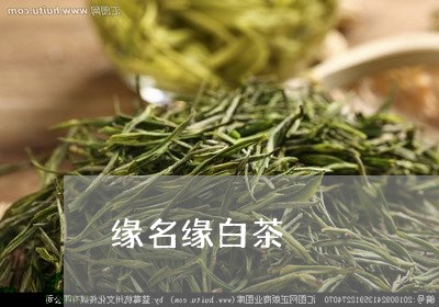 缘名缘白茶/2023051119361