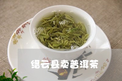 缙云县卖普洱茶/2023101617047