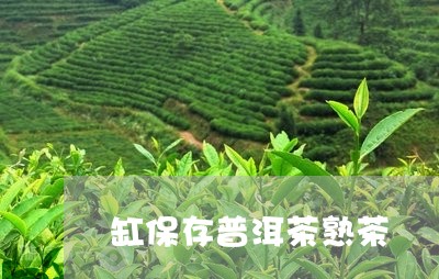 缸保存普洱茶熟茶/2023070945248