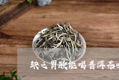 缺乏胃酸能喝普洱茶吗/2023061992917