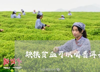 缺铁贫血可以喝普洱茶/2023062275250