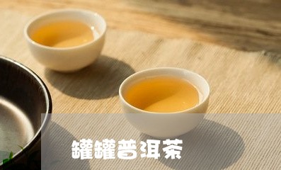 罐罐普洱茶/2023090607259