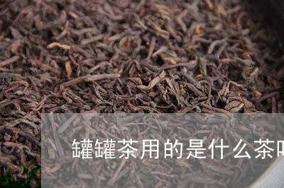 罐罐茶用的是什么茶叶/2023061029472