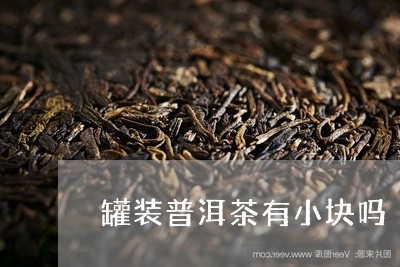 罐装普洱茶有小块吗/2023120583825