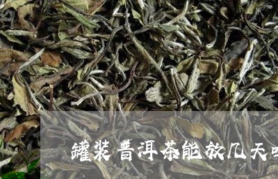 罐装普洱茶能放几天吗冬天/2023121873271