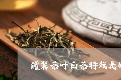 罐装茶叶白茶特级是好的吗/2023042796941