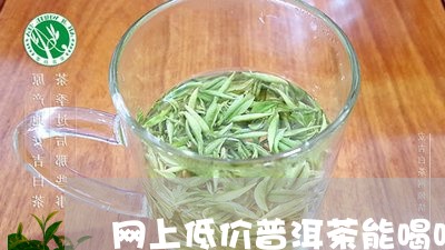 网上低价普洱茶能喝吗/2023092925827