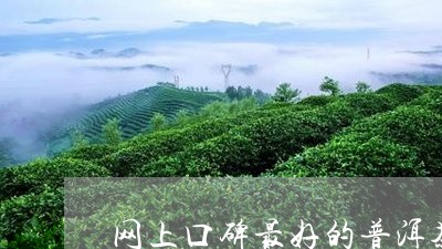 网上口碑最好的普洱茶/2023092828484