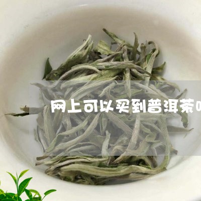 网上可以买到普洱茶吗/2023062739581