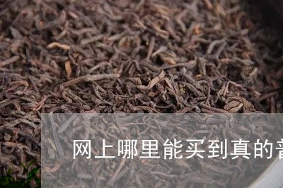 网上哪里能买到真的普洱茶/2023110228472