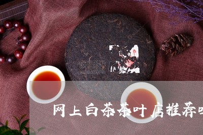 网上白茶茶叶店推荐吗好吗/2023042706957