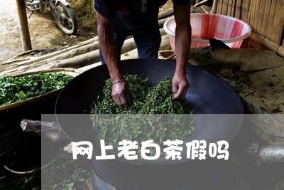 网上老白茶假吗/2023082672816