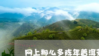 网上那么多陈年普洱茶/2023073184147