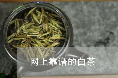 网上靠谱的白茶/2023060801583