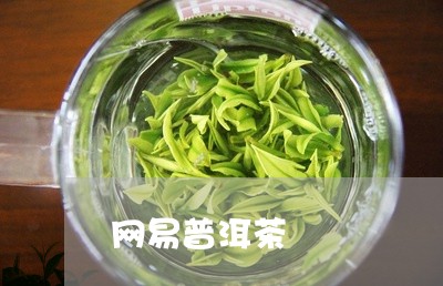 网易普洱茶/2023090609571