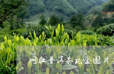 网红普洱茶礼盒图片真实/2023082728474