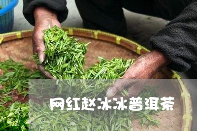 网红赵冰冰普洱茶/2023120442815