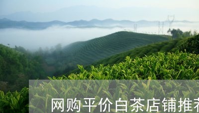 网购平价白茶店铺推荐/2023110995179