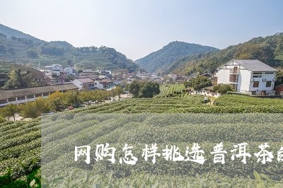 网购怎样挑选普洱茶的好坏/2023083173616