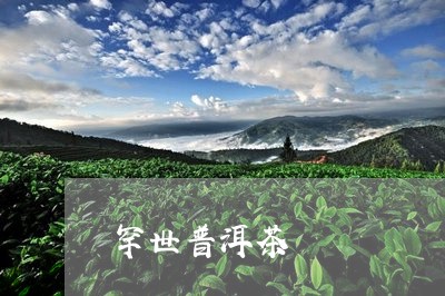 罕世普洱茶/2023081514026