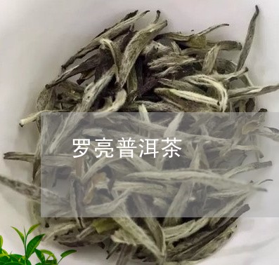 罗亮普洱茶/2023081749391