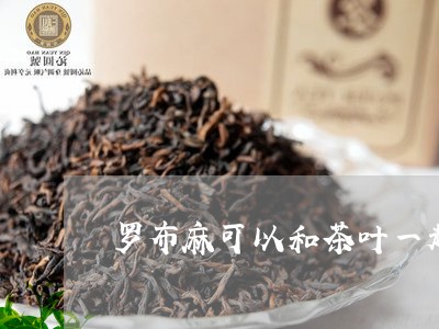 罗布麻可以和茶叶一起泡用吗/2023052648179