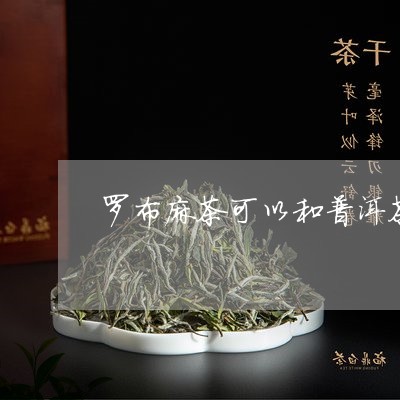 罗布麻茶可以和普洱茶/2023062317359