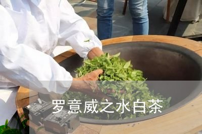 罗意威之水白茶/2023060884047