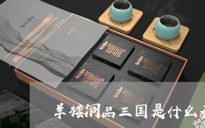 羊楼洞品三国是什么茶/2023071474027