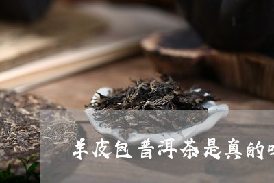 羊皮包普洱茶是真的吗/2023061994959