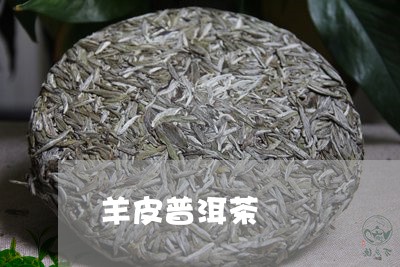 羊皮普洱茶/2023090677316