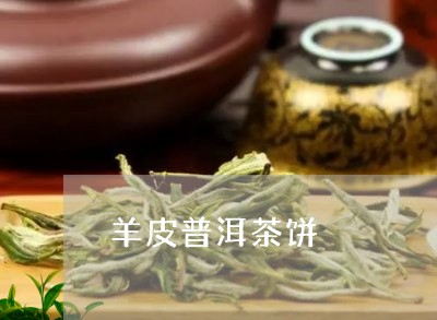 羊皮普洱茶饼/2023042638242