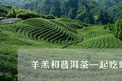 羊羔和普洱茶一起吃吗/2023072179504