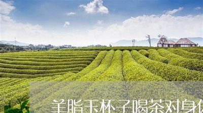 羊脂玉杯子喝茶对身体有害吗/2023052640715